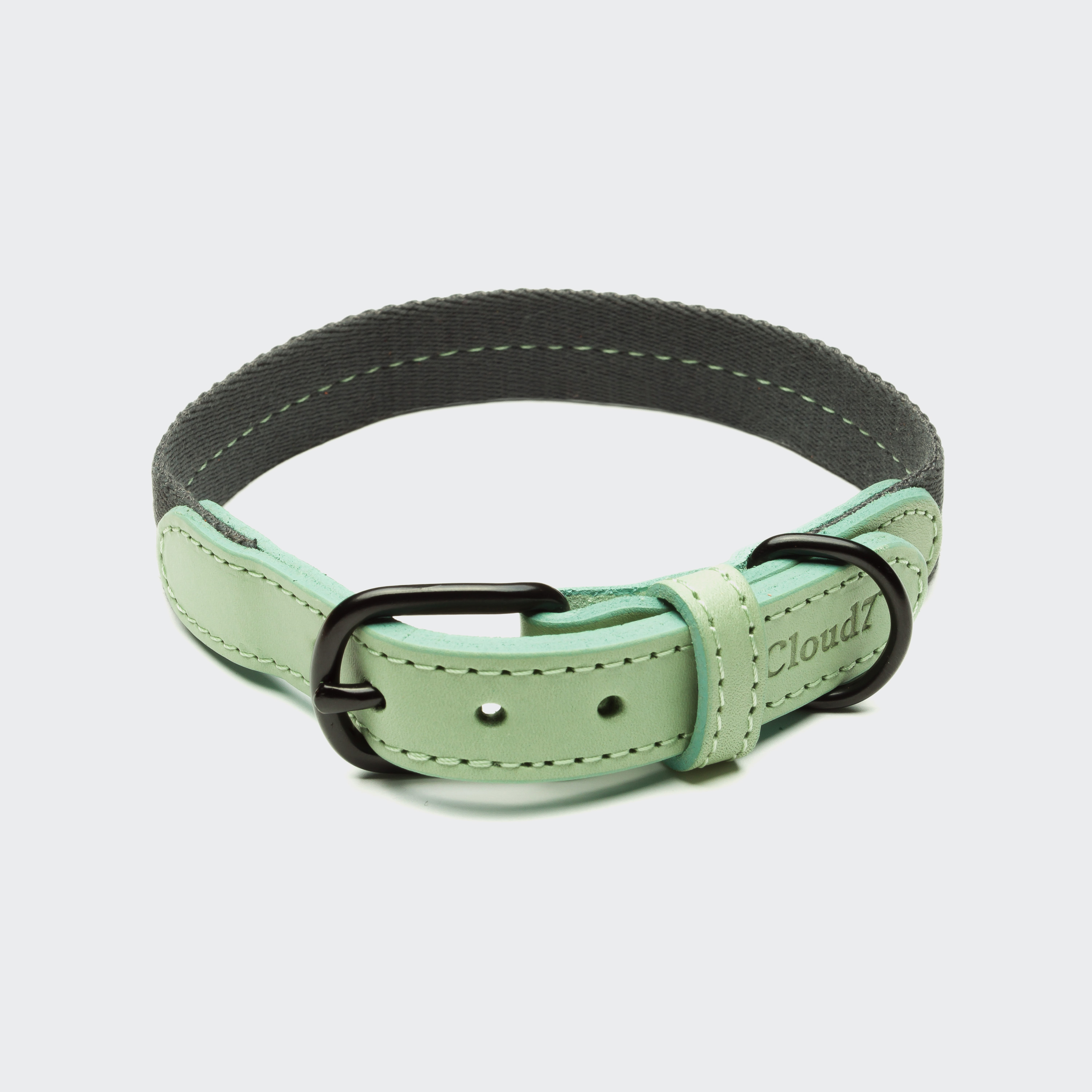 Cloud 7 Halsband Madeira Mint
