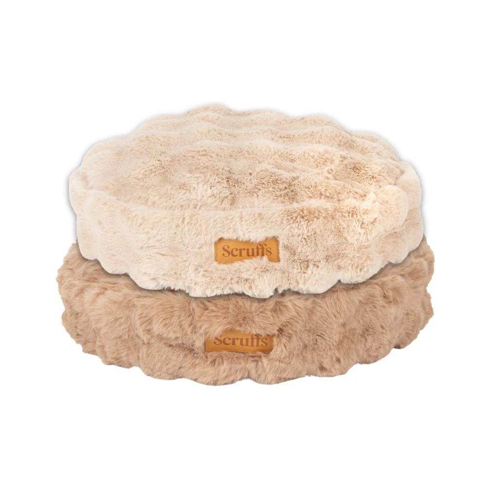 Katzenbett Alpine