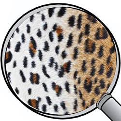 Sitzwürfel Fell-Imitat Leopard | li-germany - hochwertige Sitzmöbel und