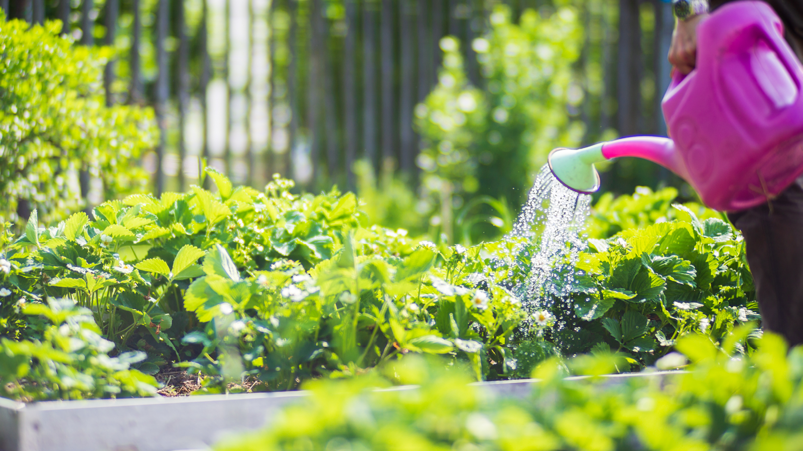 Gartenhäuser mit 14 - 19mm Wandstärke
