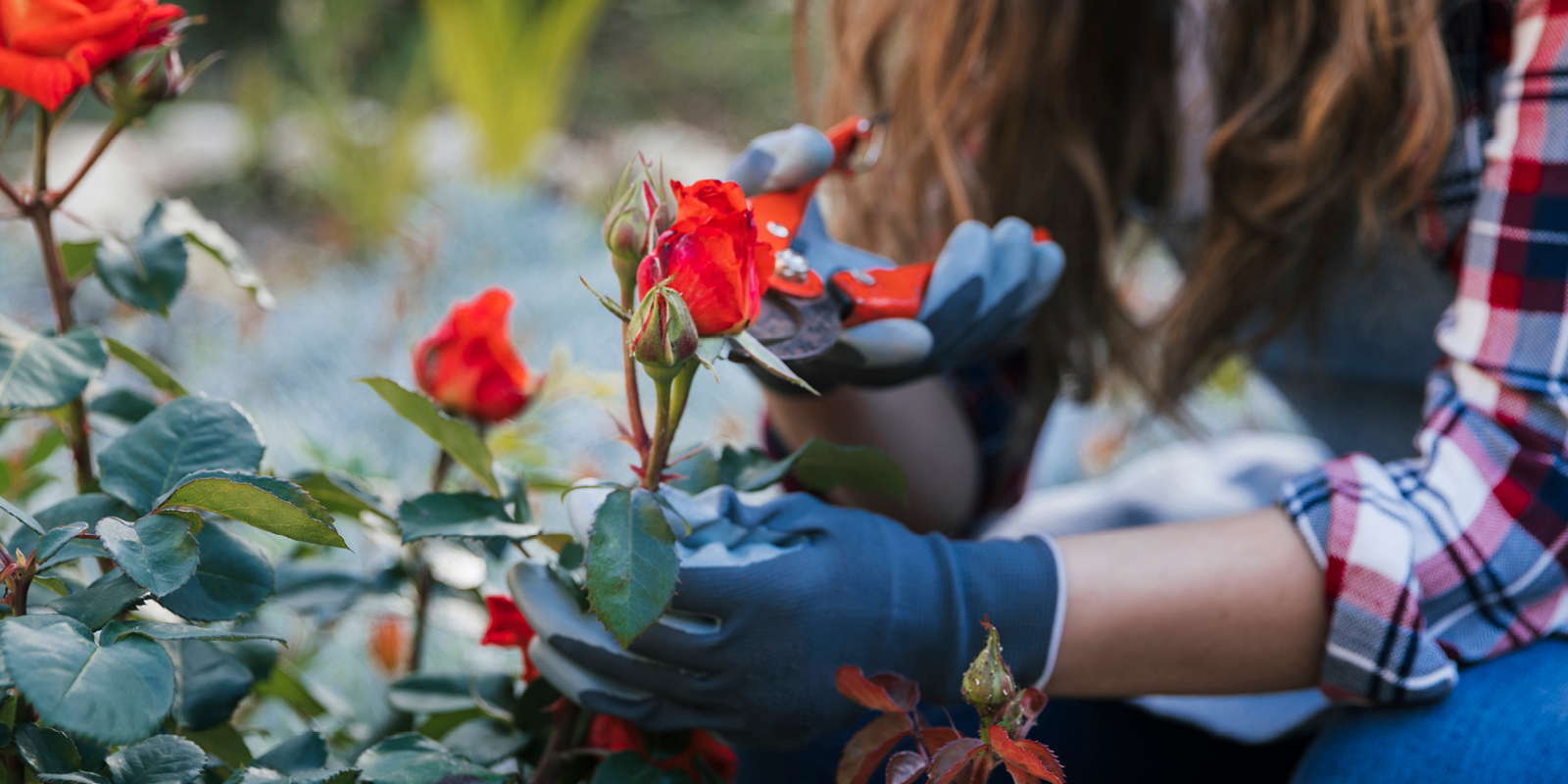 Gartenhäuser mit 14 - 19mm Wandstärke