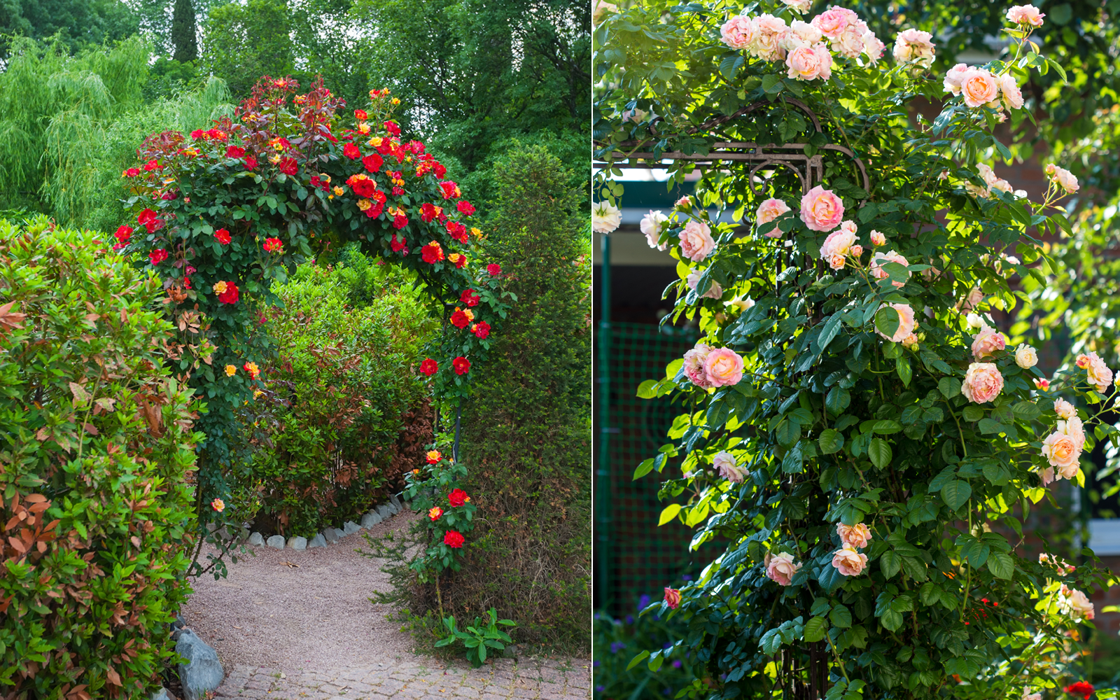 Gartenhäuser mit 14 - 19mm Wandstärke