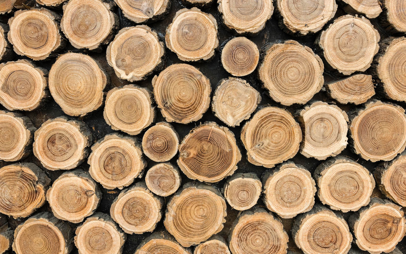 Gartenhäuser mit 14 - 19mm Wandstärke