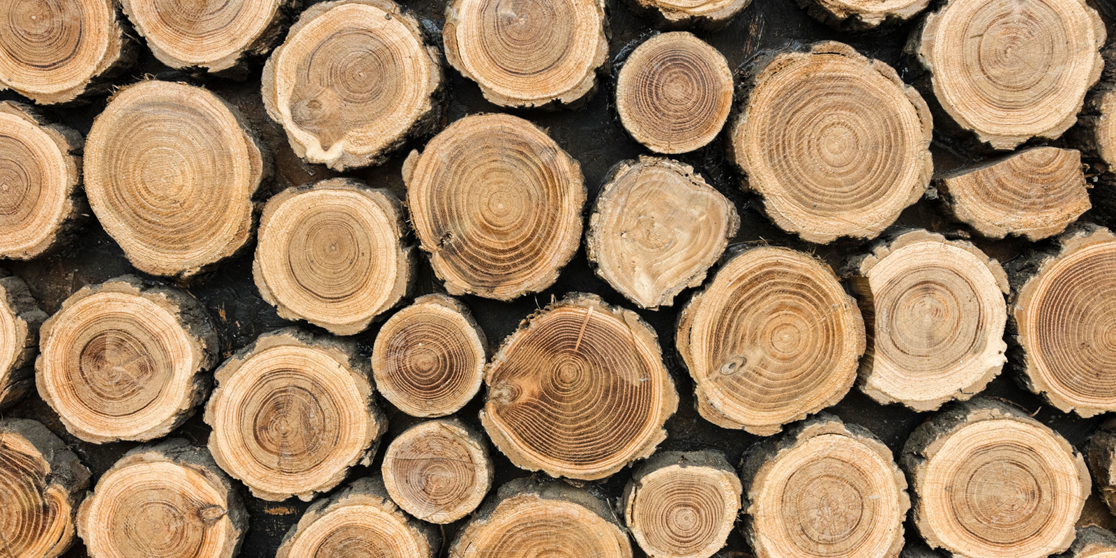 Gartenhäuser mit 14 - 19mm Wandstärke