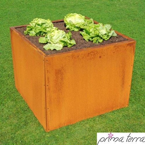 Verhoogde Bed Roest Uniek