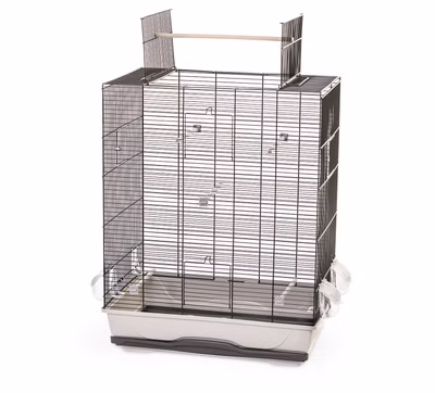 Vogelkäfig Wellensittich Kanarien mit Freisitz