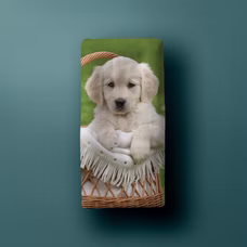 22293-Duschtuch-Badetuch-Strandtuch-Hund-70-x-140cm-gruen-beige_5.png