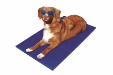 22745-Kuehlmatte-Kuehlkissen-Kuehldecke-fuer-Hund-u.jpg