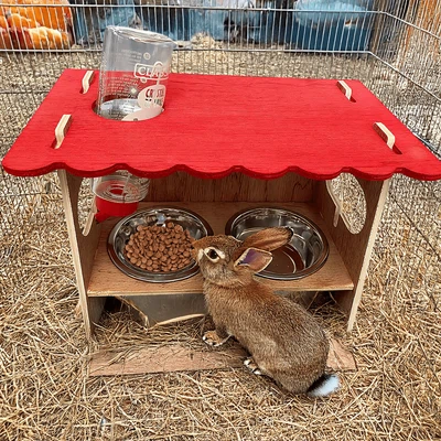 Futterstation SNACKBAR LARGE inkl. Nagertränke Neu