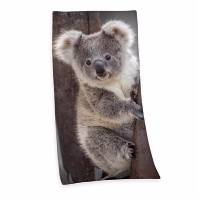 Velour towel bath towel beach towel with koala 75 x 150cm