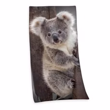 24214-Velourstuch-Duschtuch-Badetuch-Strandtuch-mit-Koala-75-x-150cm.jpg