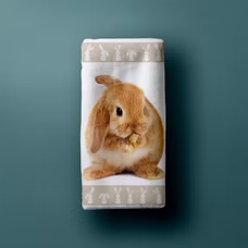 24287-Duschtuch-Badetuch-Strandtuch-mit-Hase-Kaninchen-70-x-140cm_4.png