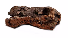 24422-Korksitzbrett-15x10cm-fuer-Wellensittich--Nymphensittich-zum-Knabbern-und-Spielen_1.JPG