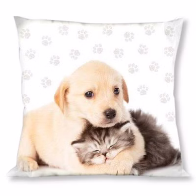 Cushion cuddly cushion decorative cushion with dog and cat 40 x 40 cm