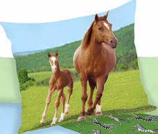 24740-Bettwaesche-Set-mit-Pferd-2-tlg--135x200-cm--80x80-cm----_3.jpg