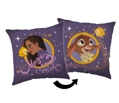Disney Wish Kuschelkissen Dekokissen 35 x 35 cm