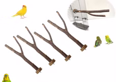 25020-Vogelschaukel-Vogelspielzeug-Kletterseil_1.png