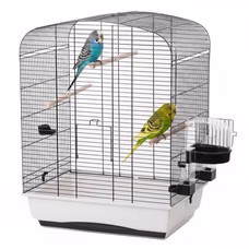Innenansicht eines Vogelkäfigs mit zwei Wellensittichen auf Holzstangen, schwarzem Gitter, weißer Basis und Futter‑/Wasserstation.