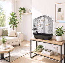 Vogelkäfig "Elizabeth" auf Holztisch im modernen Wohnzimmer, schwarze Gitter, weiße Basis, Holzstangen. Sofa, Pflanzen und Deko im Hintergrund.