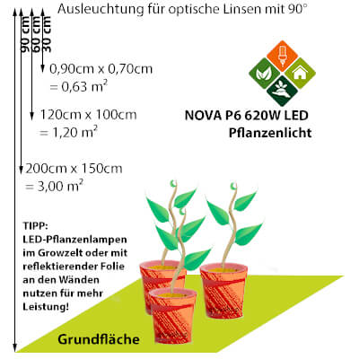 NOVA P6 Ausleuchtung LED-vs-NDL NOVA P6 Ausleuchtung