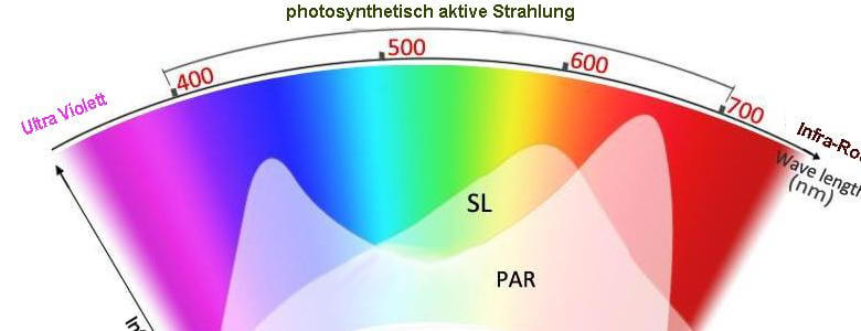 PAR, PPF & PPFD - Eine Kurze Erklärung Mit Vergleich | LED ...