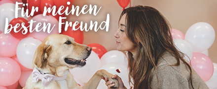 Für den Hund