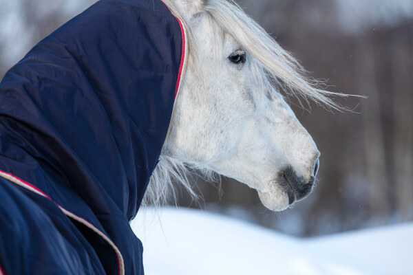 Halsteile für Horseware Amigo, Rhino & Rambo
