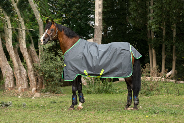 Horseware Weidedecken ⚡ Super Auswahl