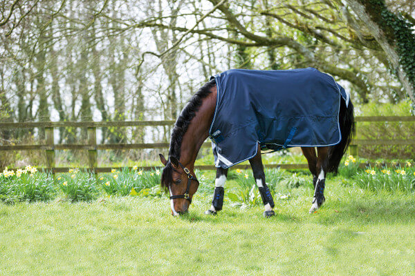 Horseware Regendecken ➤ Top Preise