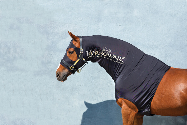 Horseware Rambo Unterdecken ❤ Tolle Auswahl