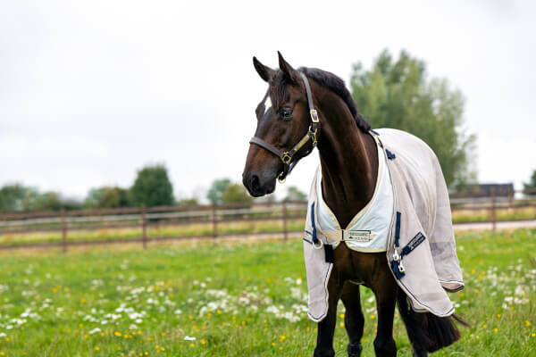 Horseware Unterdecken | Top-Bewertungen