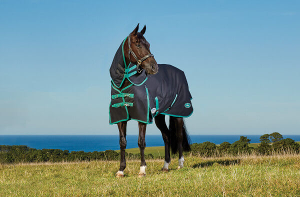 Weatherbeeta Green Tec Pferdedecke Recycelt