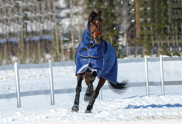 Weatherbeeta Ultra Pferdedecke >> Top Preise