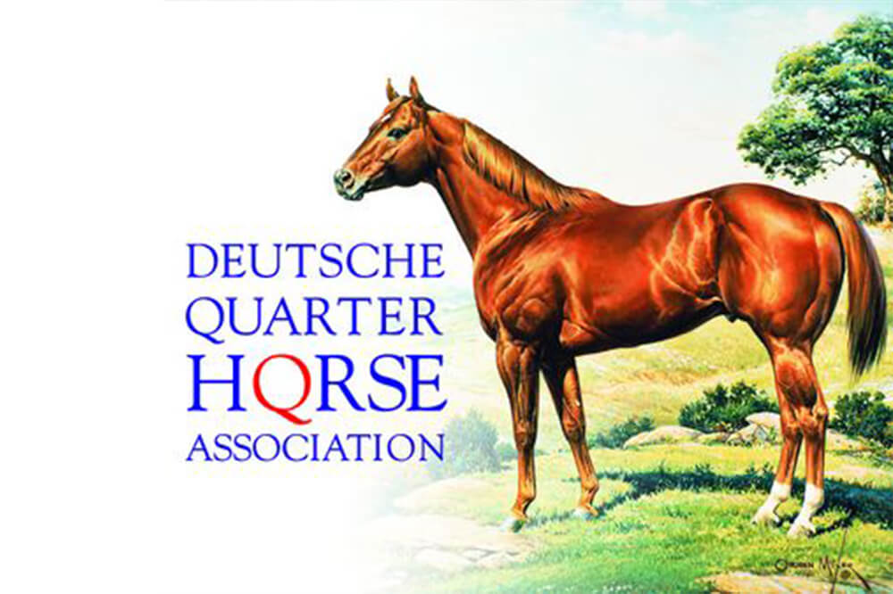 DQHA Club Collection | für Westernreiter DQHA Club Collection | für Westernreiter