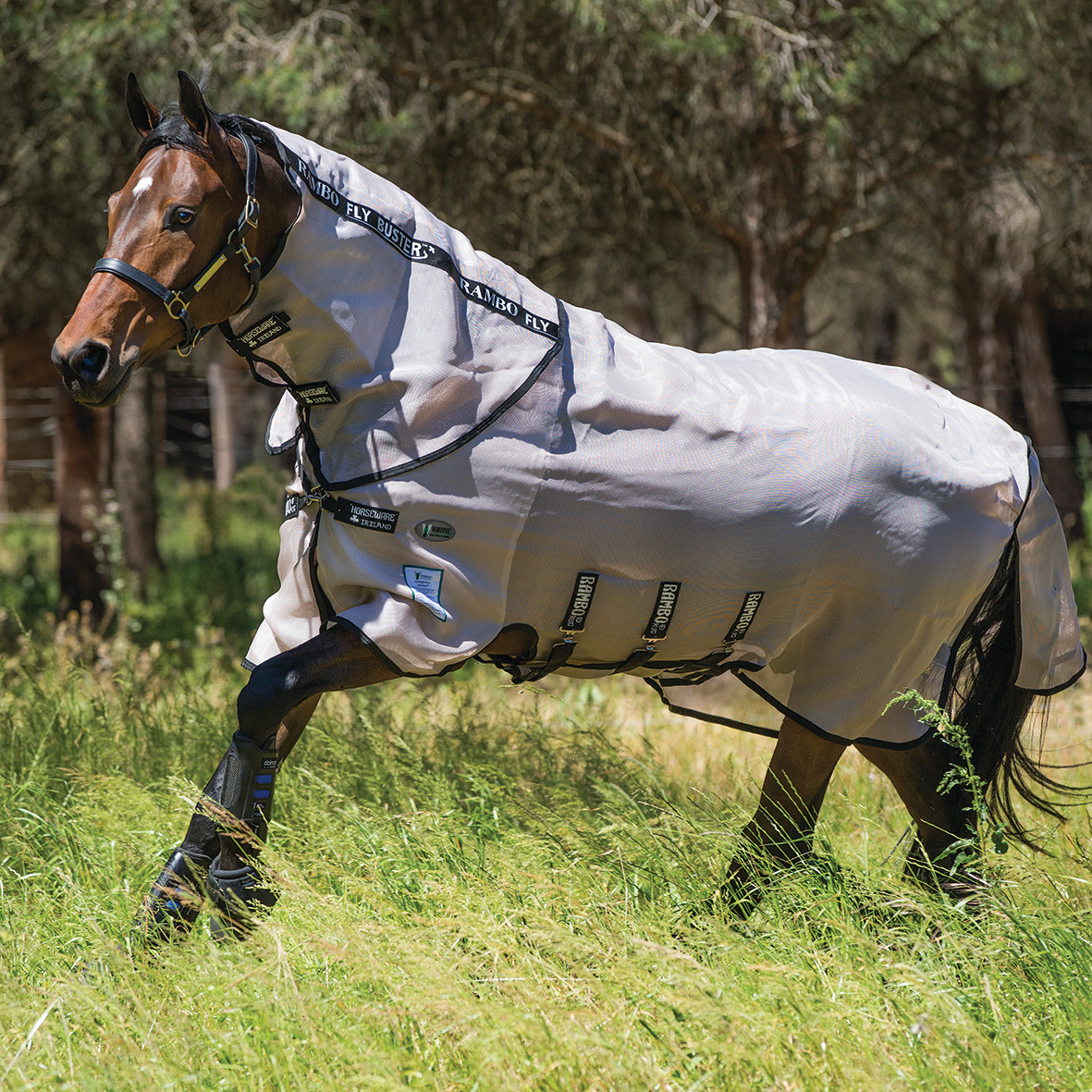 Horseware Rambo Cosy Fleece - Bourgogne et Marine | GmbH
