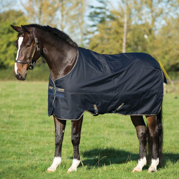 Horseware Amigo Bravo 12 XL Turnout Medium 250gNavy with GoldTurnout