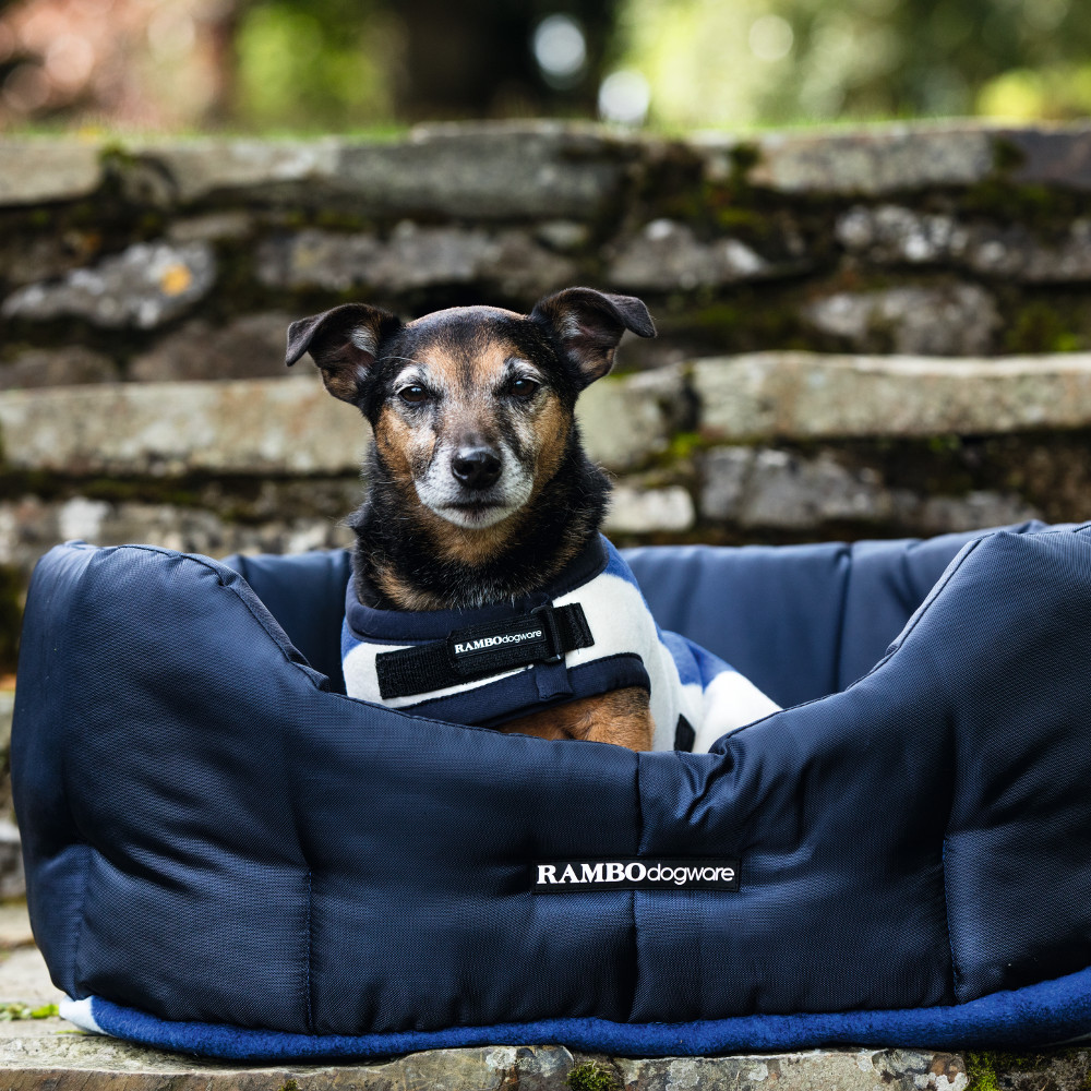Horseware Rambo Dog Bed Navy/Witney Navy Dog Bed eBay
