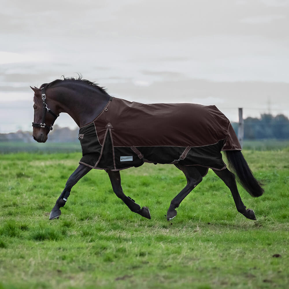 WALDHAUSEN Stalldecke Comfort Line - Pferdedecke 100g Mit Fleecekragen Nachtblau
