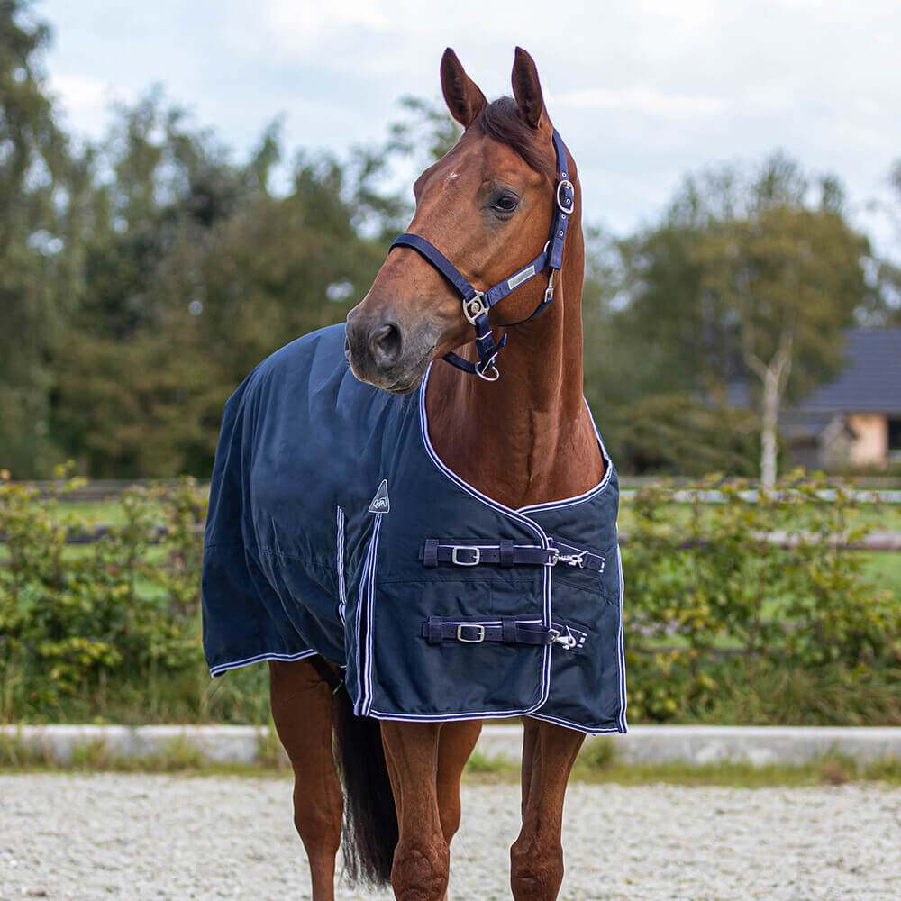 Couverture Pour Cheval QHP - Turnout 300g Avec Couvre-cou Intégré - Imperméable, Respirante - Taille Haute