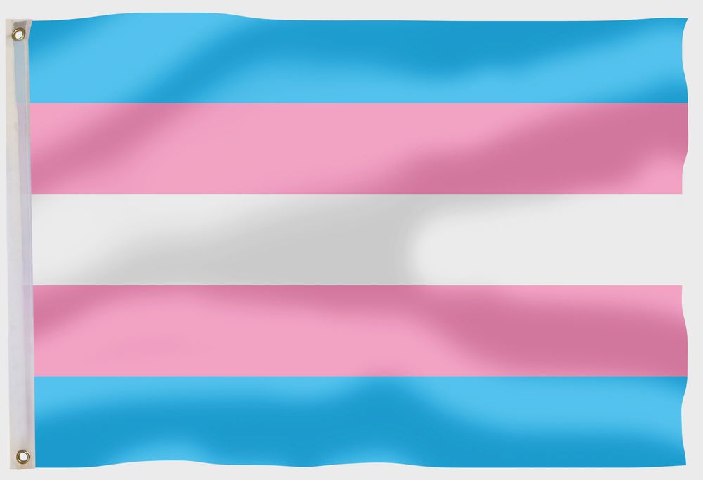 Transgender Pride Flagge Lgbt Fahne Transsexuell Flaggen...