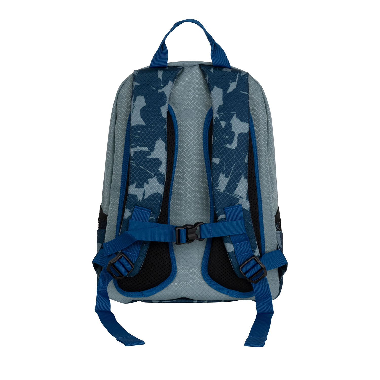 Blue Ninja