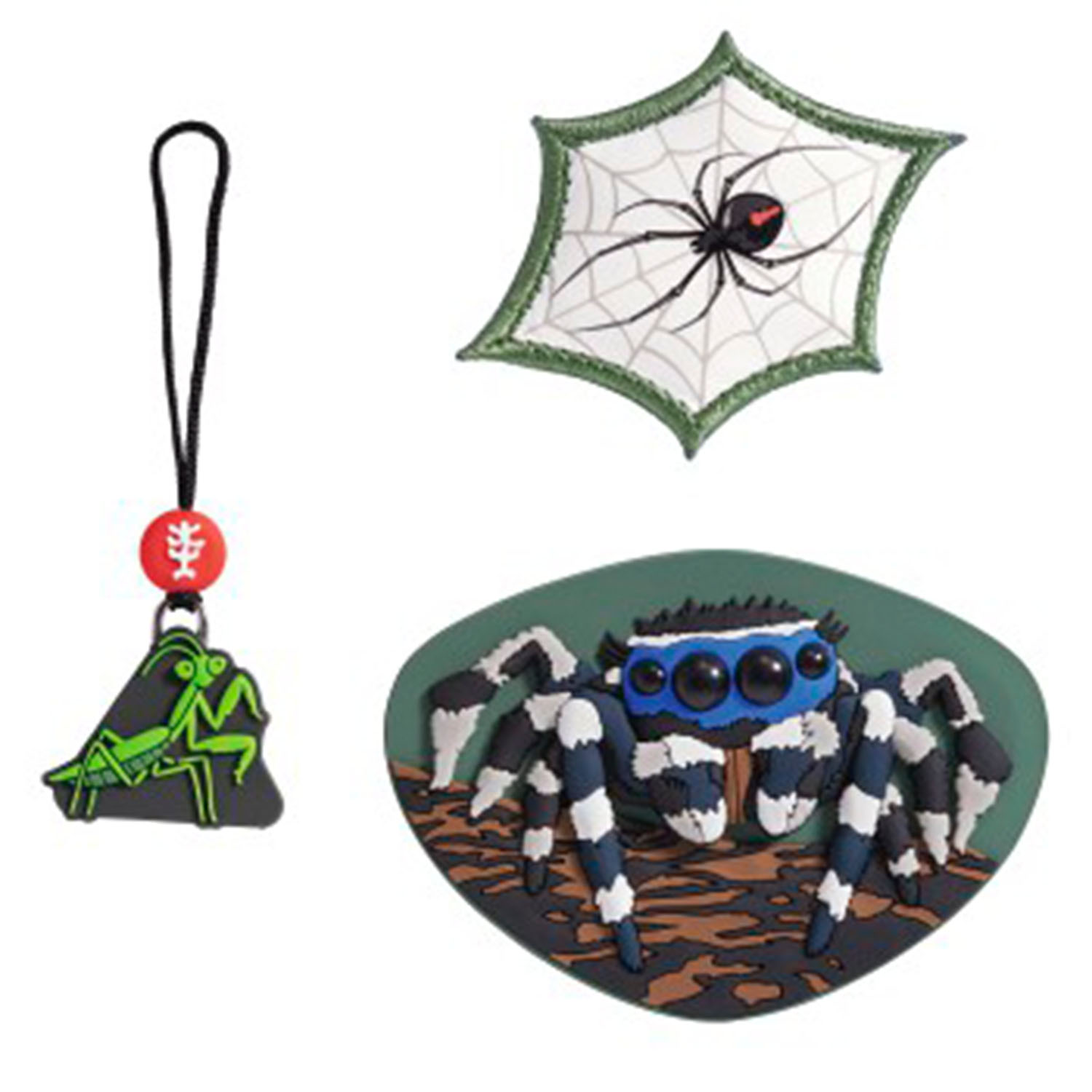 Step by Step Magic Mags-Jumping Spider