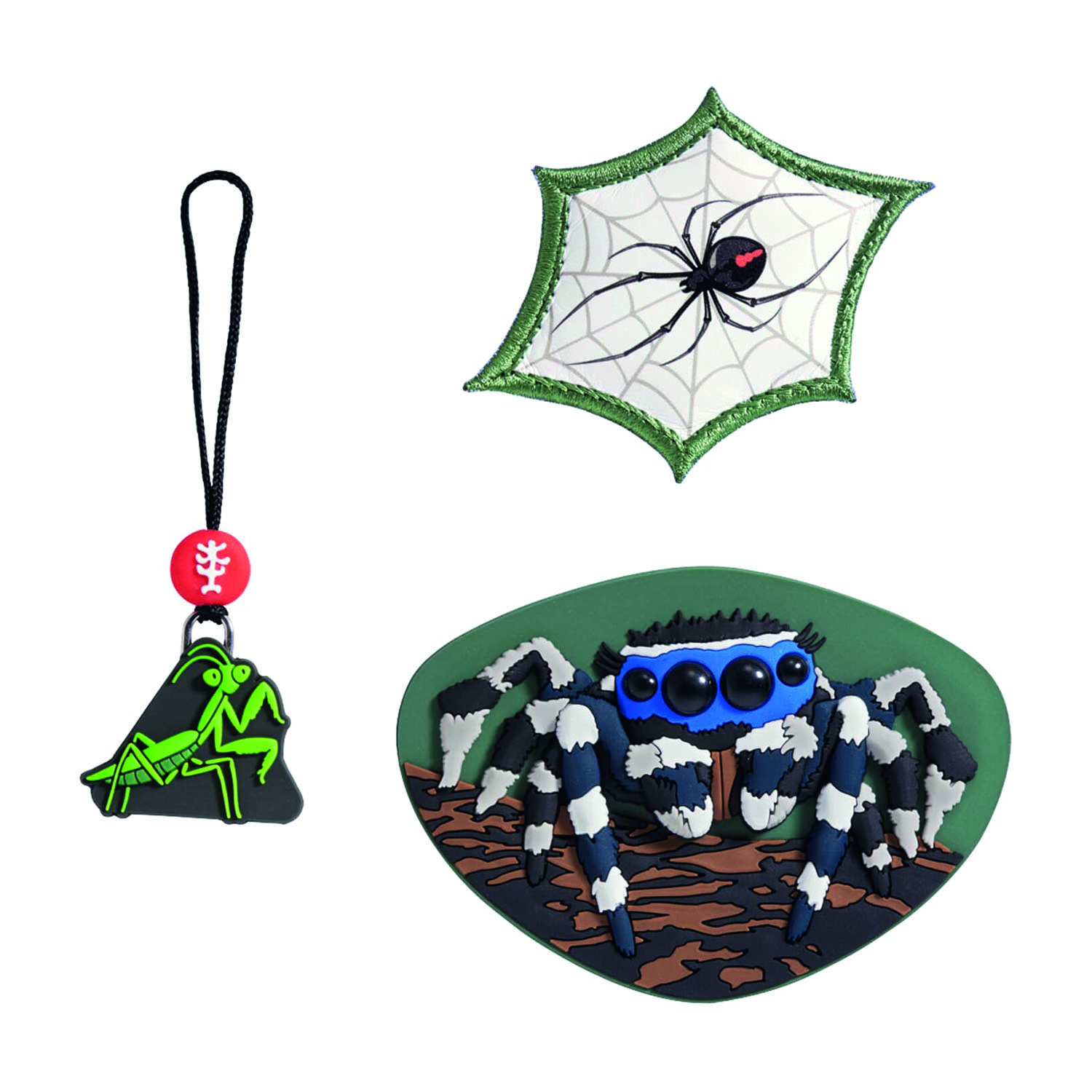 Step by Step Magic Mags-Spider Flipp