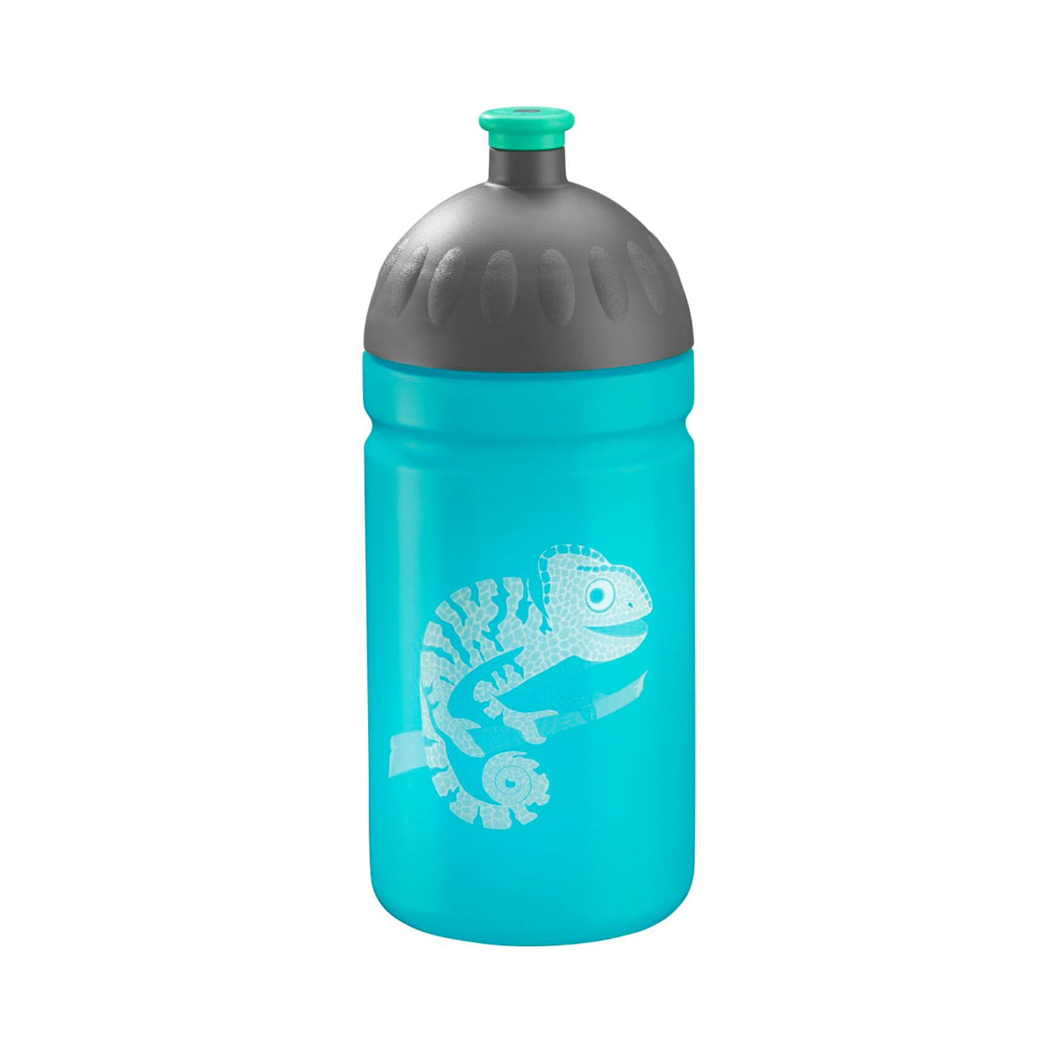 Step by Step Trinkflasche-Chameleon Joshy