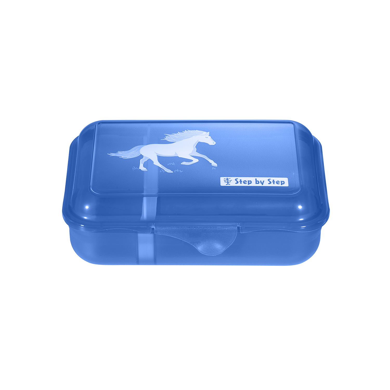 Wild Horse Ronja