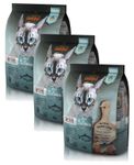 Katzen Trockenfutter - 3x Adult GF Salmon mit Lachs 300g - Leonardo Premium Katzenfutter für ausgewachsene Katzen - Getreidefrei - leichtverdaulich