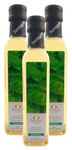 Basilikumessig - Weißweinessig mit Aroma - Basilikum Essig aus Italien - TrentinAcetia - höchste Qualität - 3x250 ml - Aceto Di Vino Bianco - Basilco