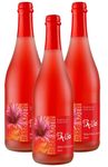 Palio - Wilde Hibiskusblüte Secco 3x 0,75l - Fruchtiger Hibiskusblüten Perlwein - Prämiert aus Deutschland