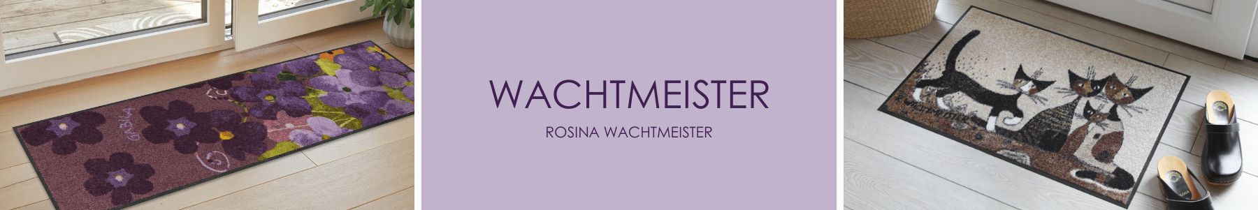 Rosina Wachtmeister