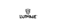 Lupine Lupine